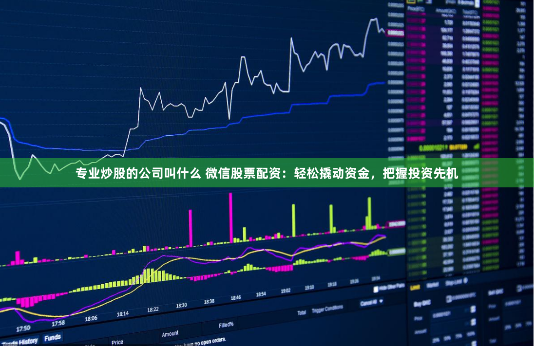 专业炒股的公司叫什么 微信股票配资：轻松撬动资金，把握投资先机